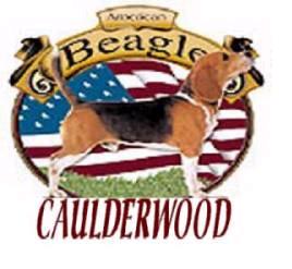 caulderwood.jpg